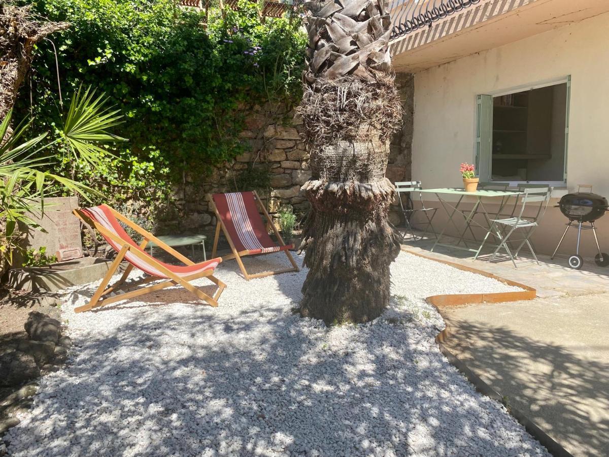 Gite Le Palmier - Perfectly Located Cosy Studio With Private Garden Puissalicon Exteriér fotografie