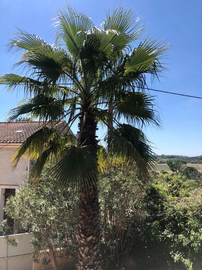 Gite Le Palmier - Perfectly Located Cosy Studio With Private Garden Puissalicon Exteriér fotografie