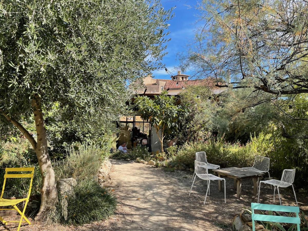 Gite Le Palmier - Perfectly Located Cosy Studio With Private Garden Puissalicon Exteriér fotografie