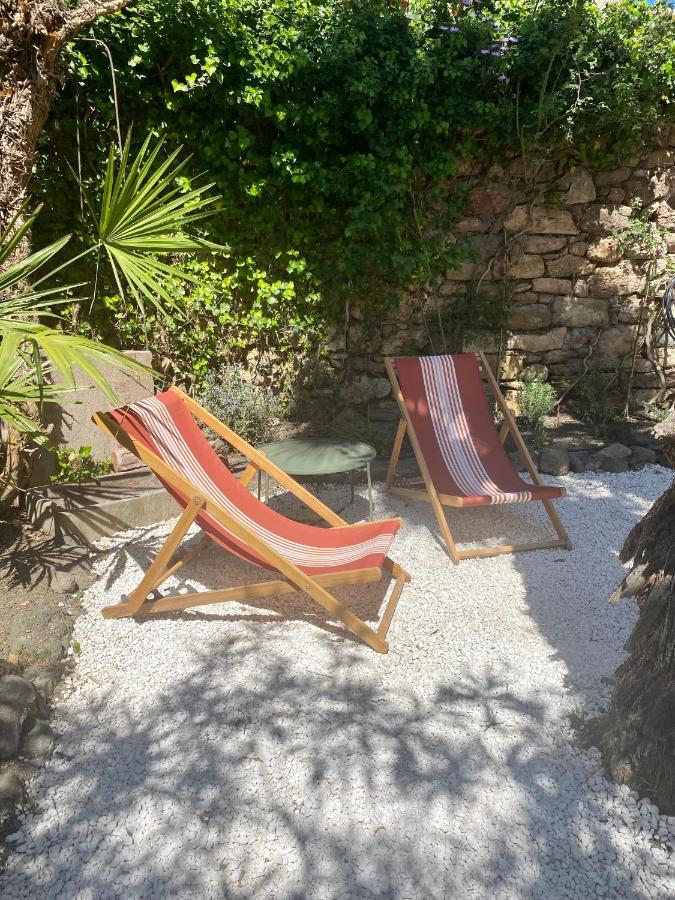 Gite Le Palmier - Perfectly Located Cosy Studio With Private Garden Puissalicon Exteriér fotografie